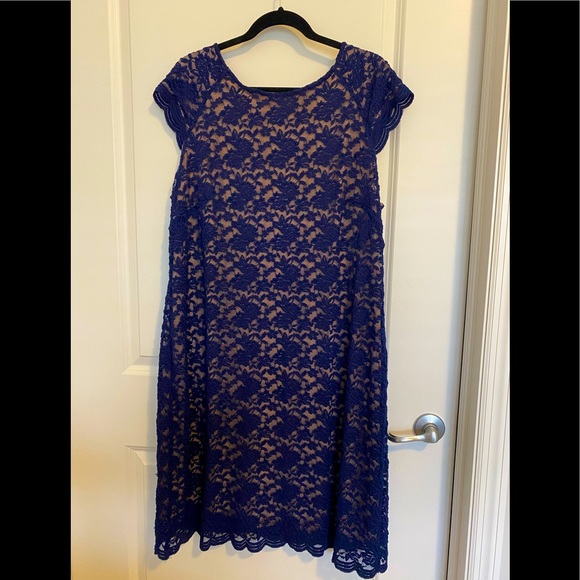 db Dresses & Skirts - db beautiful navy lace dress